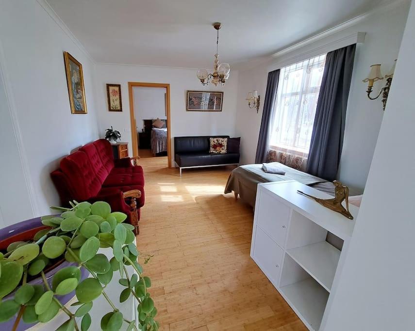Spacious Apartment -Top Location Акурейри Экстерьер фото